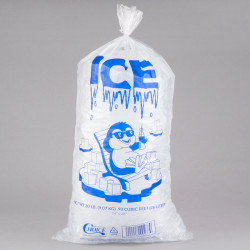 Bag of Ice